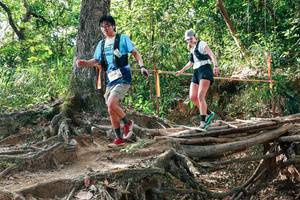 BIB: 
                            <button type="button" onclick="openModal(27716446)" class="btn btn-primary btn-sm float-right btn-popup" data-toggle="modal" data-target=".modal-high-quality">
                        <i class="fas fa-shopping-cart"></i> Add to Cart
                    </button>
                                            <button type="button" onclick="isThisMe(27716446, true)" class="btn btn-success btn-sm float-right btn-popup btn-isme hidden" data-toggle="tooltip" data-placement="bottom" title="นี่คือรูปของคุณใช่ไหม คลิกที่นี่เพื่อเอาเข้าอัลบั้ม">
                        <i class="fas fa-plus"></i> Add to album
                    </button>
                    <button type="button" onclick="isThisMe(27716446, false)" class="btn btn-warning btn-sm float-right btn-popup btn-isnotme hidden">
                        <i class="fas fa-ban"></i> Remove from album
                    </button>